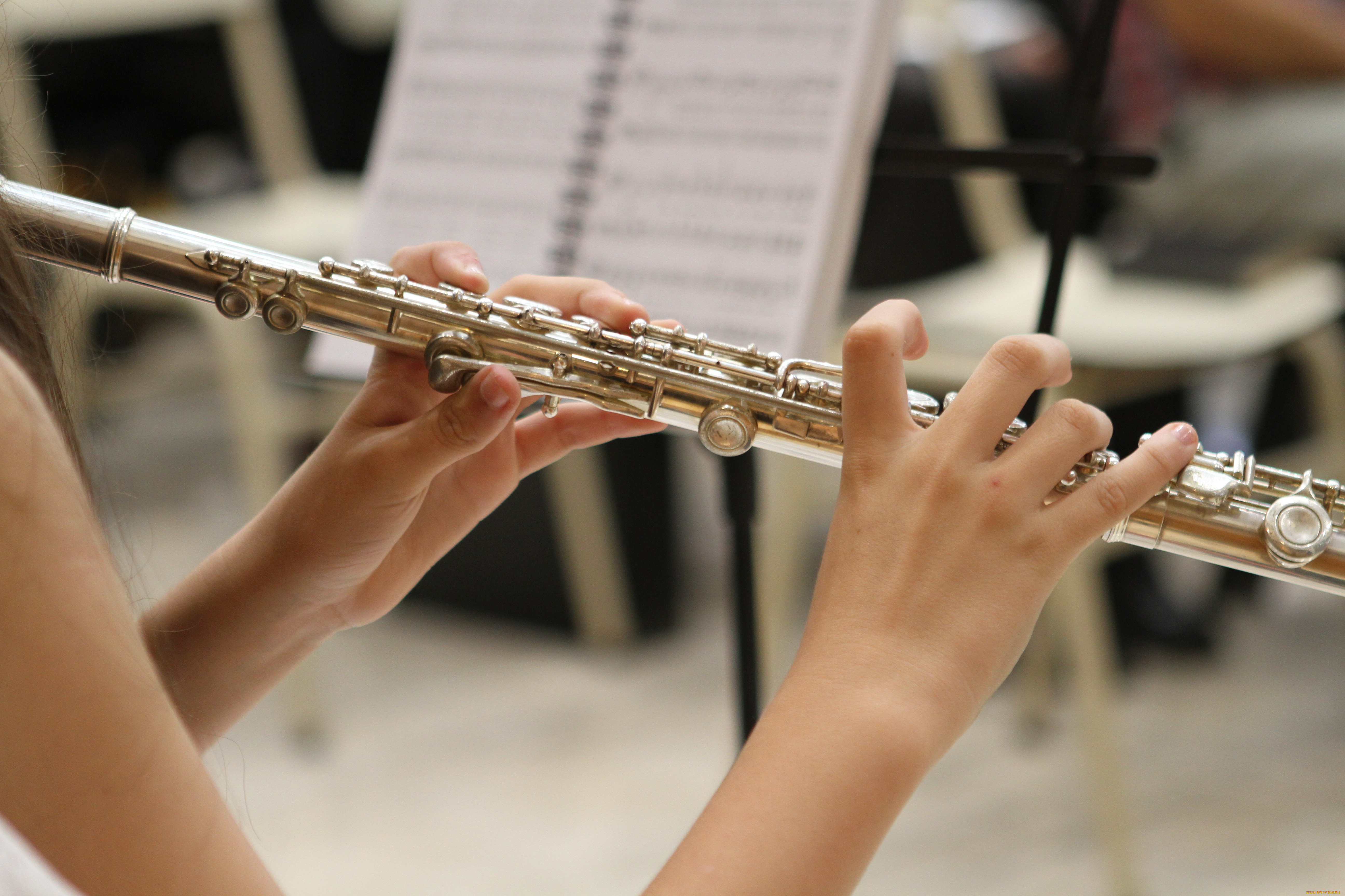 Оркестр флейтистов. Флейта музыкальный инструмент. Флейта классическая. Духовые инструменты флейта.